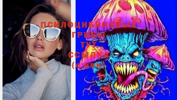 тгк Кулебаки