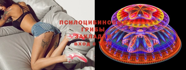 тгк Кулебаки
