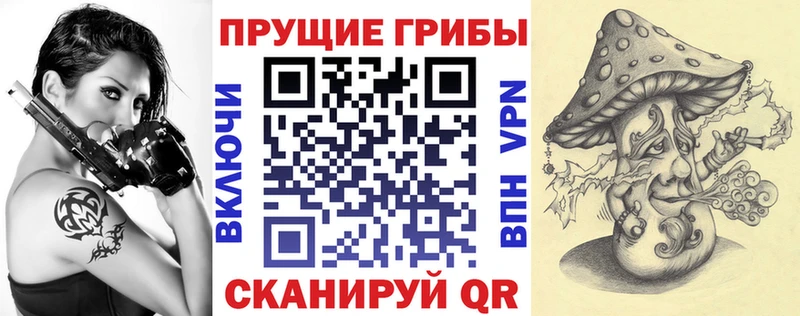 Купить  Сосновый Бор  Псилоцибиновые грибы мухоморы 